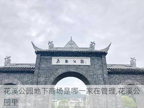 花溪公园地下商场是哪一家在管理,花溪公园里-第3张图片-豌豆旅游网