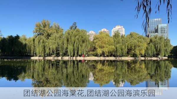 团结湖公园海棠花,团结湖公园海滨乐园-第3张图片-豌豆旅游网