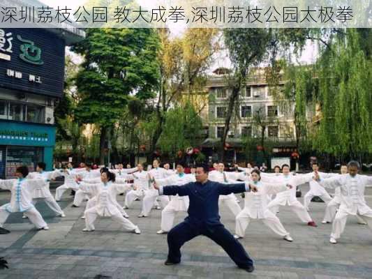 深圳荔枝公园 教大成拳,深圳荔枝公园太极拳-第3张图片-豌豆旅游网