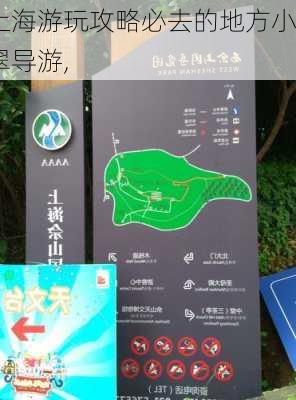 上海游玩攻略必去的地方小翠导游,-第3张图片-豌豆旅游网