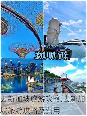 去新加坡旅游攻略,去新加坡旅游攻略及费用-第2张图片-豌豆旅游网