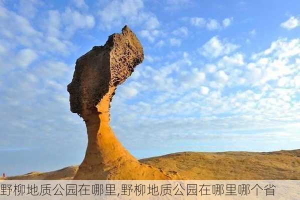 野柳地质公园在哪里,野柳地质公园在哪里哪个省-第2张图片-豌豆旅游网