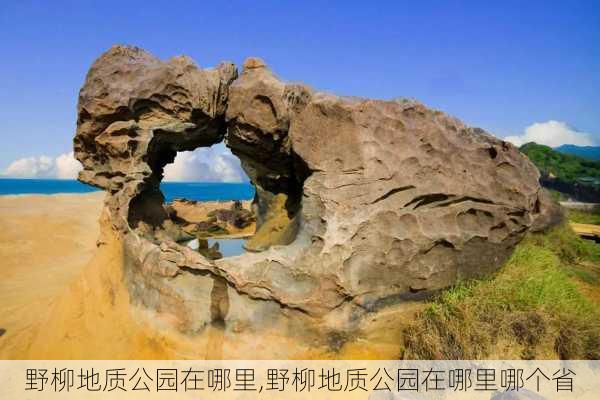 野柳地质公园在哪里,野柳地质公园在哪里哪个省-第3张图片-豌豆旅游网