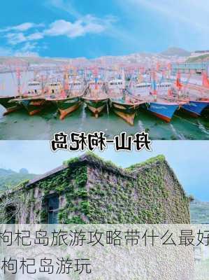 枸杞岛旅游攻略带什么最好,枸杞岛游玩-第1张图片-豌豆旅游网