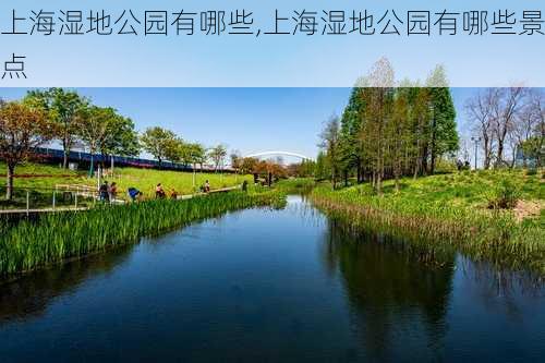 上海湿地公园有哪些,上海湿地公园有哪些景点-第1张图片-豌豆旅游网