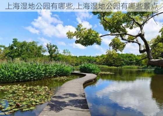 上海湿地公园有哪些,上海湿地公园有哪些景点-第2张图片-豌豆旅游网