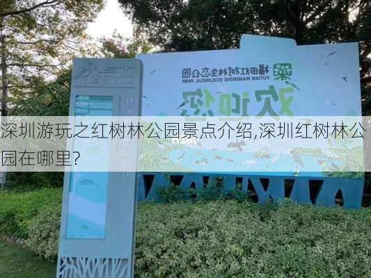 深圳游玩之红树林公园景点介绍,深圳红树林公园在哪里?-第3张图片-豌豆旅游网