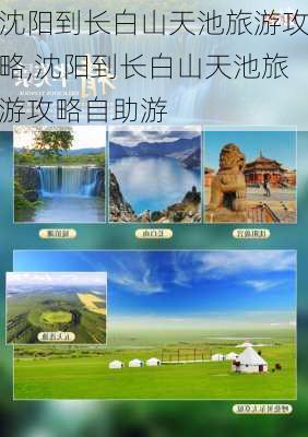 沈阳到长白山天池旅游攻略,沈阳到长白山天池旅游攻略自助游-第1张图片-豌豆旅游网