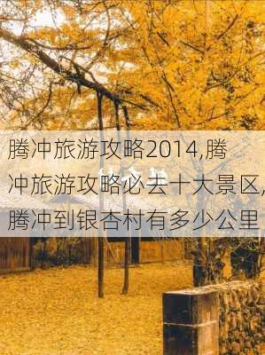 腾冲旅游攻略2014,腾冲旅游攻略必去十大景区,腾冲到银杏村有多少公里-第3张图片-豌豆旅游网