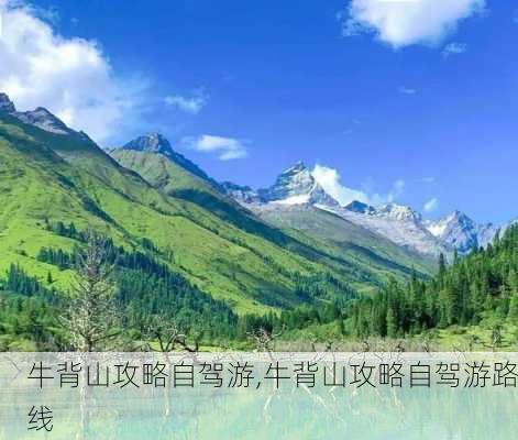 牛背山攻略自驾游,牛背山攻略自驾游路线-第1张图片-豌豆旅游网