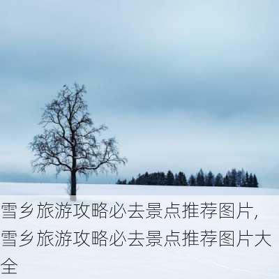 雪乡旅游攻略必去景点推荐图片,雪乡旅游攻略必去景点推荐图片大全-第2张图片-豌豆旅游网