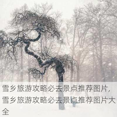 雪乡旅游攻略必去景点推荐图片,雪乡旅游攻略必去景点推荐图片大全-第3张图片-豌豆旅游网