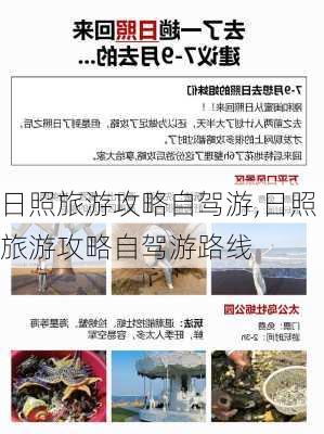 日照旅游攻略自驾游,日照旅游攻略自驾游路线-第1张图片-豌豆旅游网