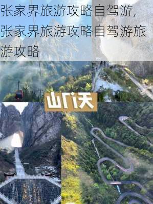 张家界旅游攻略自驾游,张家界旅游攻略自驾游旅游攻略-第3张图片-豌豆旅游网