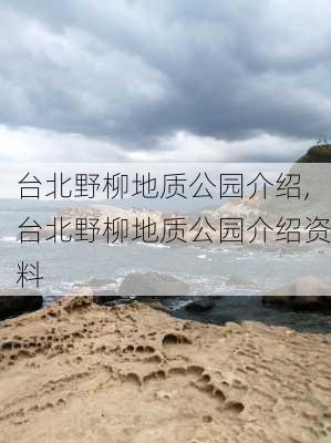 台北野柳地质公园介绍,台北野柳地质公园介绍资料-第3张图片-豌豆旅游网