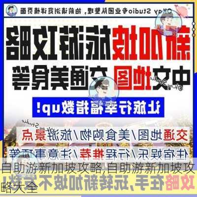 自助游新加坡攻略,自助游新加坡攻略大全-第2张图片-豌豆旅游网