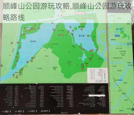 顺峰山公园游玩攻略,顺峰山公园游玩攻略路线-第2张图片-豌豆旅游网