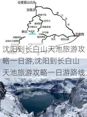 沈阳到长白山天池旅游攻略一日游,沈阳到长白山天池旅游攻略一日游路线-第3张图片-豌豆旅游网