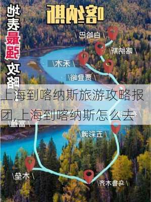 上海到喀纳斯旅游攻略报团,上海到喀纳斯怎么去-第2张图片-豌豆旅游网