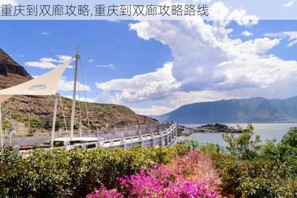 重庆到双廊攻略,重庆到双廊攻略路线-第3张图片-豌豆旅游网