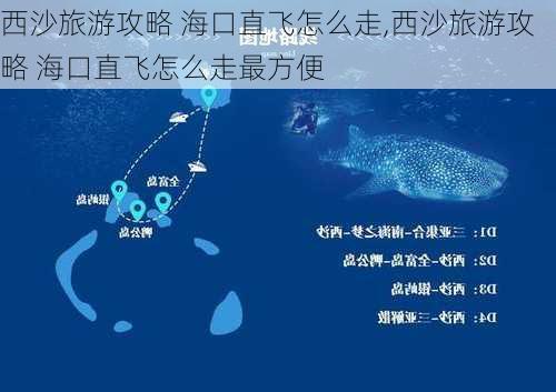 西沙旅游攻略 海口直飞怎么走,西沙旅游攻略 海口直飞怎么走最方便-第1张图片-豌豆旅游网