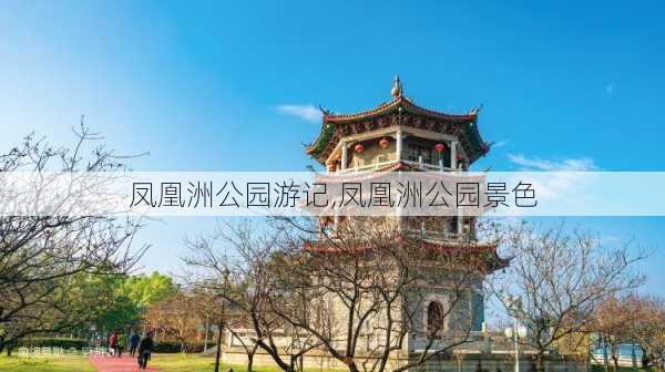 凤凰洲公园游记,凤凰洲公园景色-第1张图片-豌豆旅游网