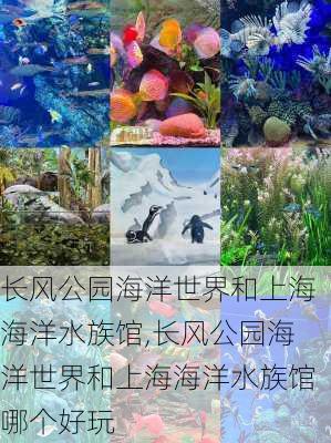 长风公园海洋世界和上海海洋水族馆,长风公园海洋世界和上海海洋水族馆哪个好玩