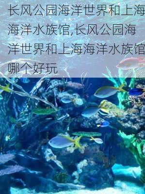 长风公园海洋世界和上海海洋水族馆,长风公园海洋世界和上海海洋水族馆哪个好玩-第3张图片-豌豆旅游网