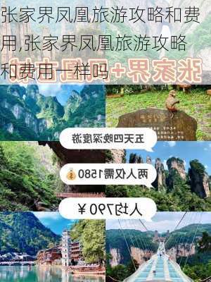 张家界凤凰旅游攻略和费用,张家界凤凰旅游攻略和费用一样吗-第2张图片-豌豆旅游网