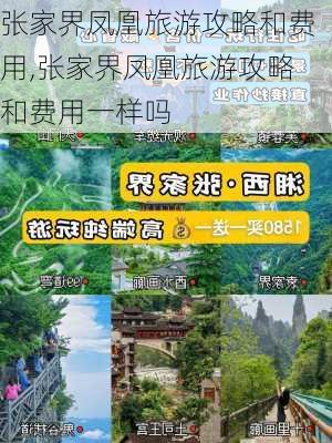 张家界凤凰旅游攻略和费用,张家界凤凰旅游攻略和费用一样吗-第3张图片-豌豆旅游网