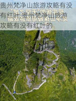 贵州梵净山旅游攻略有没有红叶,贵州梵净山旅游攻略有没有红叶的-第2张图片-豌豆旅游网