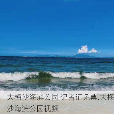 大梅沙海滨公园 记者证免票,大梅沙海滨公园视频-第3张图片-豌豆旅游网