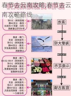 春节去云南攻略,春节去云南攻略路线-第3张图片-豌豆旅游网