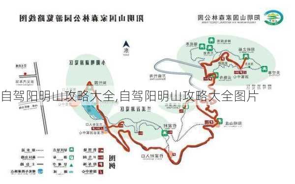 自驾阳明山攻略大全,自驾阳明山攻略大全图片-第3张图片-豌豆旅游网