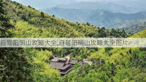 自驾阳明山攻略大全,自驾阳明山攻略大全图片-第2张图片-豌豆旅游网