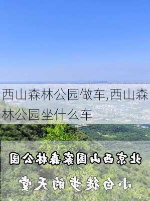 西山森林公园做车,西山森林公园坐什么车-第1张图片-豌豆旅游网