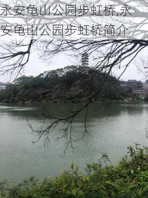 永安龟山公园步虹桥,永安龟山公园步虹桥简介