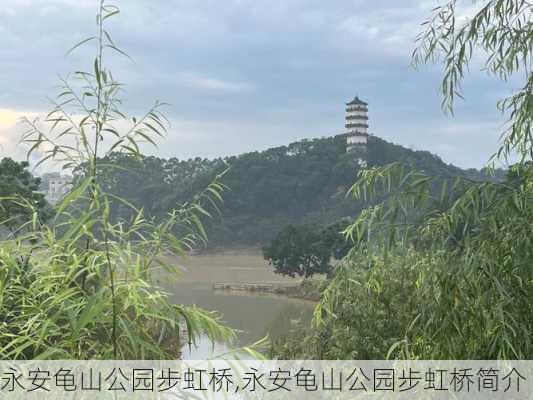 永安龟山公园步虹桥,永安龟山公园步虹桥简介-第2张图片-豌豆旅游网