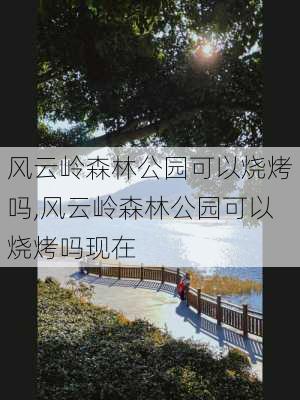 风云岭森林公园可以烧烤吗,风云岭森林公园可以烧烤吗现在-第2张图片-豌豆旅游网