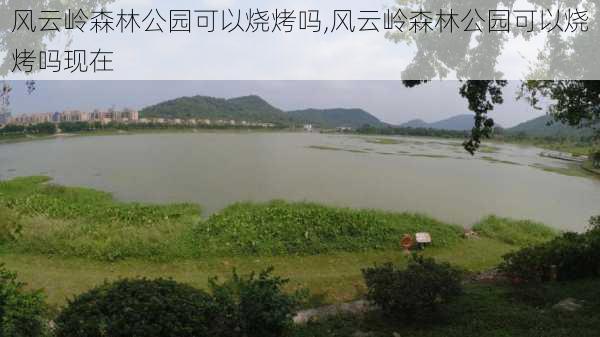 风云岭森林公园可以烧烤吗,风云岭森林公园可以烧烤吗现在-第3张图片-豌豆旅游网