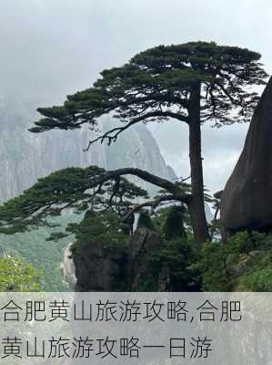 合肥黄山旅游攻略,合肥黄山旅游攻略一日游-第2张图片-豌豆旅游网