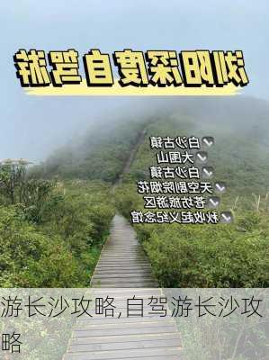 游长沙攻略,自驾游长沙攻略-第3张图片-豌豆旅游网