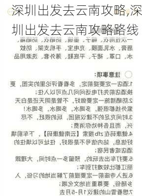 深圳出发去云南攻略,深圳出发去云南攻略路线-第3张图片-豌豆旅游网