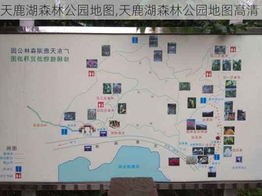 天鹿湖森林公园地图,天鹿湖森林公园地图高清-第3张图片-豌豆旅游网