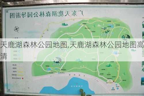 天鹿湖森林公园地图,天鹿湖森林公园地图高清