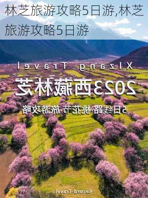 林芝旅游攻略5日游,林芝旅游攻略5日游-第2张图片-豌豆旅游网