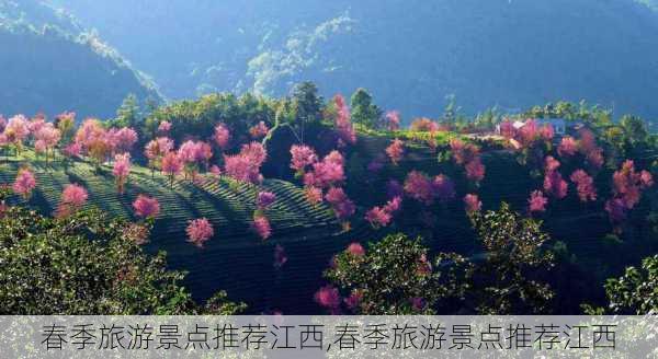 春季旅游景点推荐江西,春季旅游景点推荐江西-第2张图片-豌豆旅游网