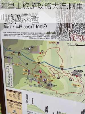 阿里山旅游攻略大连,阿里山旅游景点