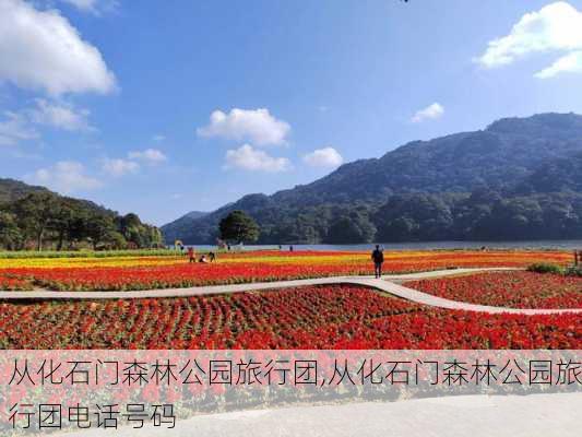 从化石门森林公园旅行团,从化石门森林公园旅行团电话号码-第3张图片-豌豆旅游网