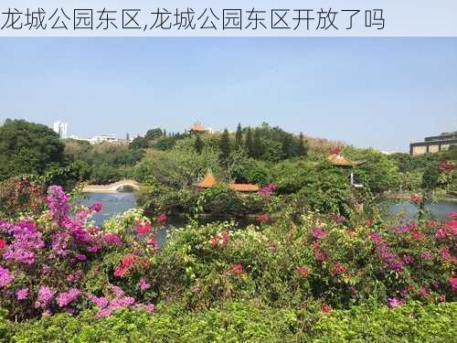 龙城公园东区,龙城公园东区开放了吗-第3张图片-豌豆旅游网